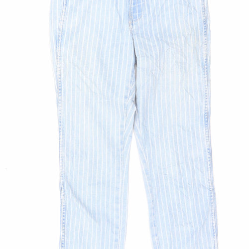 H&M Womens Blue Striped Cotton Skinny Jeans Size 26 in L28 in Regular Button