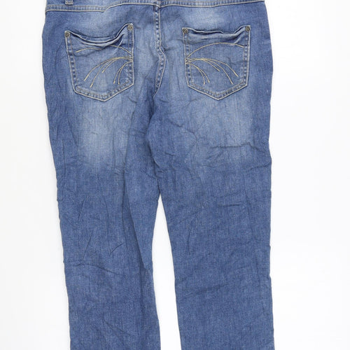 Indigo Womens Blue Cotton Cropped Jeans Size 32 in L21 in Regular Zip