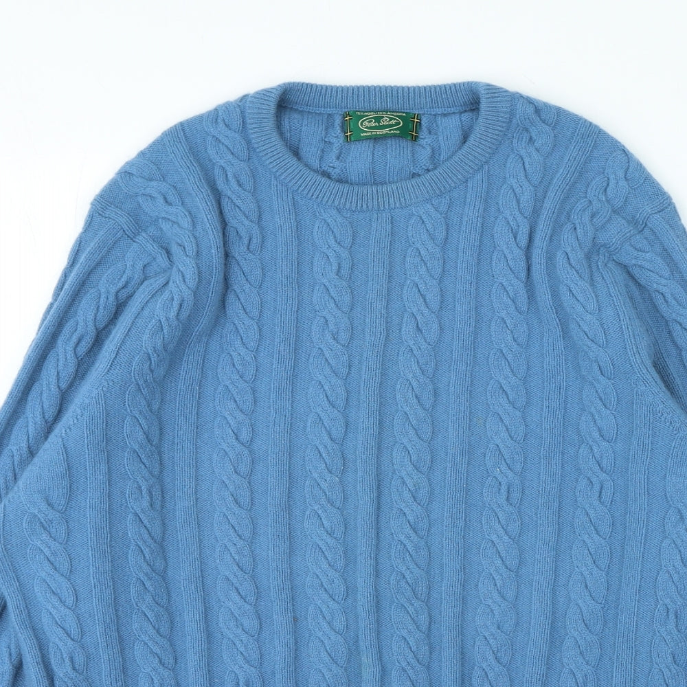 Peter Scott Mens Blue Crew Neck Wool Pullover Jumper Size M