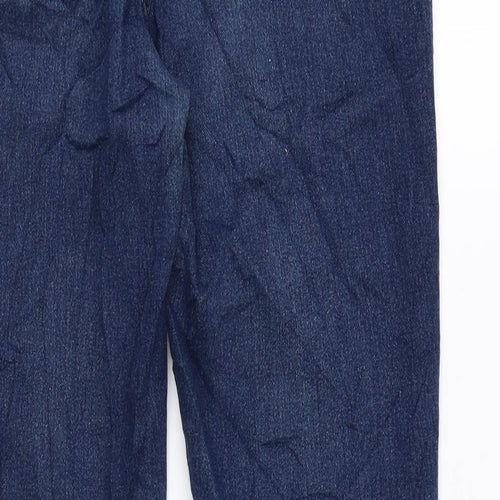 H&M Womens Blue Cotton Skinny Jeans Size 27 in L28 in Regular Zip