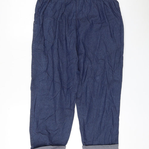 Preworn Womens Blue Cotton Bermuda Shorts Size 32 in L19 in Regular