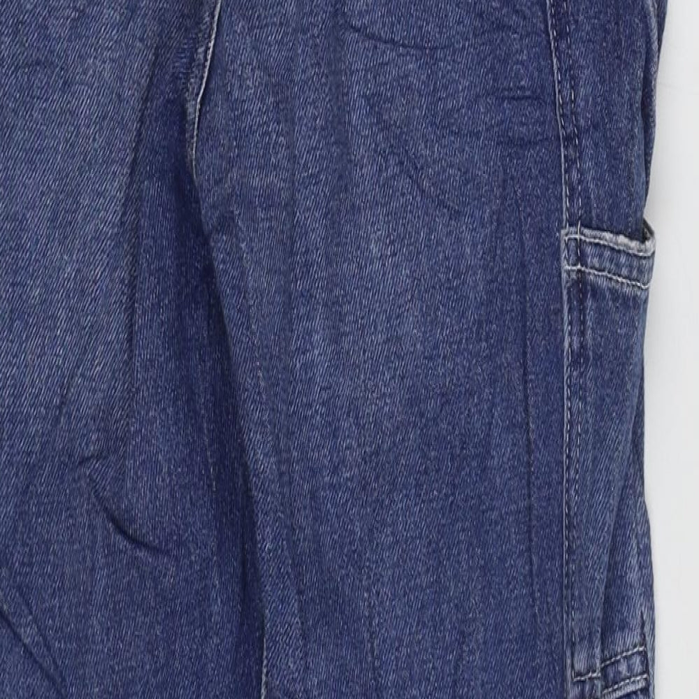 Carhartt Womens Blue Cotton Boyfriend Jeans Size 28 in L29 in Regular Zip