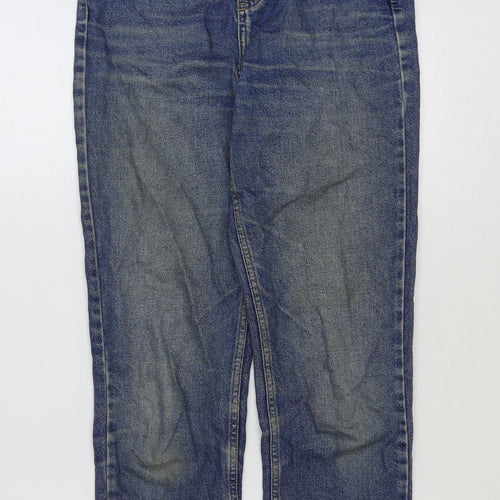 BDG Mens Blue Cotton Straight Jeans Size 26 in L30 in Regular Button