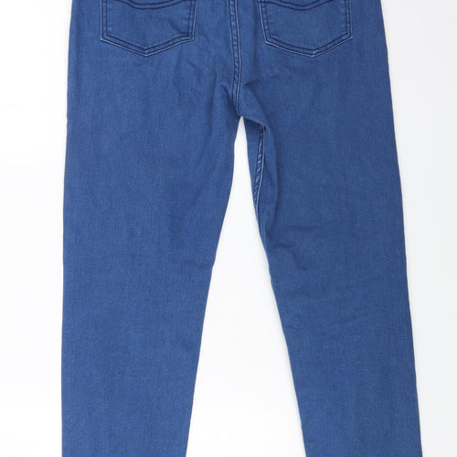 Barrington Womens Blue Cotton Tapered Jeans Size 28 in L26.5 in Regular Zip