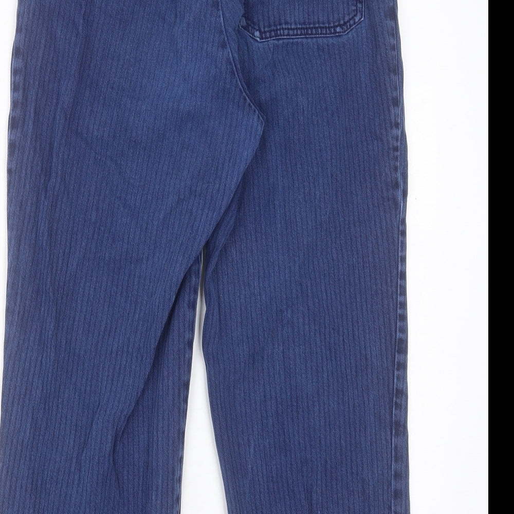 Monkl Womens Blue Striped Cotton Cropped Jeans Size 8 L23 in Regular Button