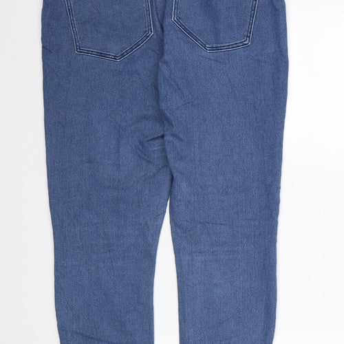 H&M Womens Blue Cotton Skinny Jeans Size 33 in L27 in Regular Zip