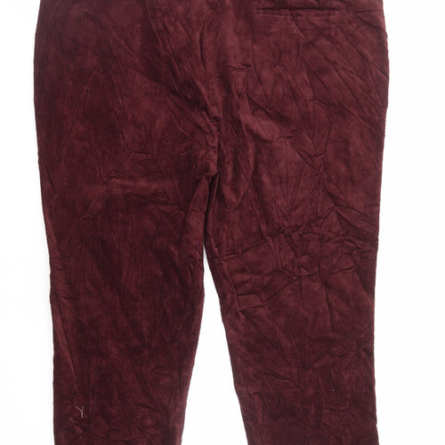 James Holton Mens Red Cotton Tapered Jeans Size L L25 in Regular Zip