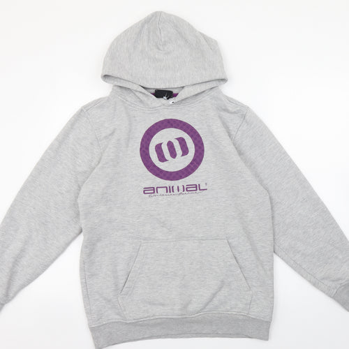 Animal Boys Grey Polyester Pullover Hoodie Size 15-16 Years Pullover