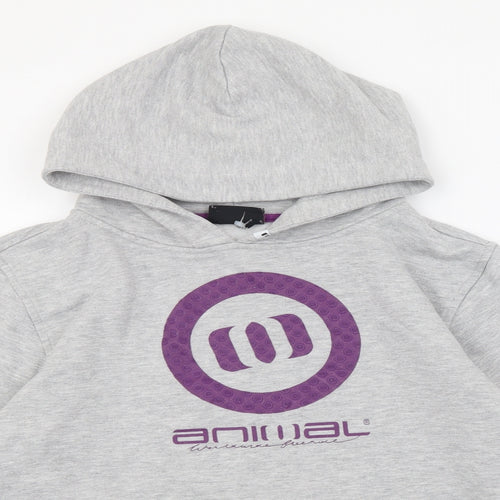 Animal Boys Grey Polyester Pullover Hoodie Size 15-16 Years Pullover