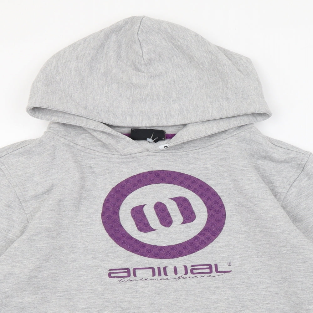 Animal Boys Grey Polyester Pullover Hoodie Size 15-16 Years Pullover