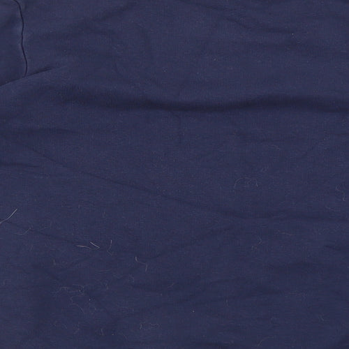 George Boys Blue 100% Merino Wool Pullover Sweatshirt Size 12-13 Years Pullover - Dinosaur Print