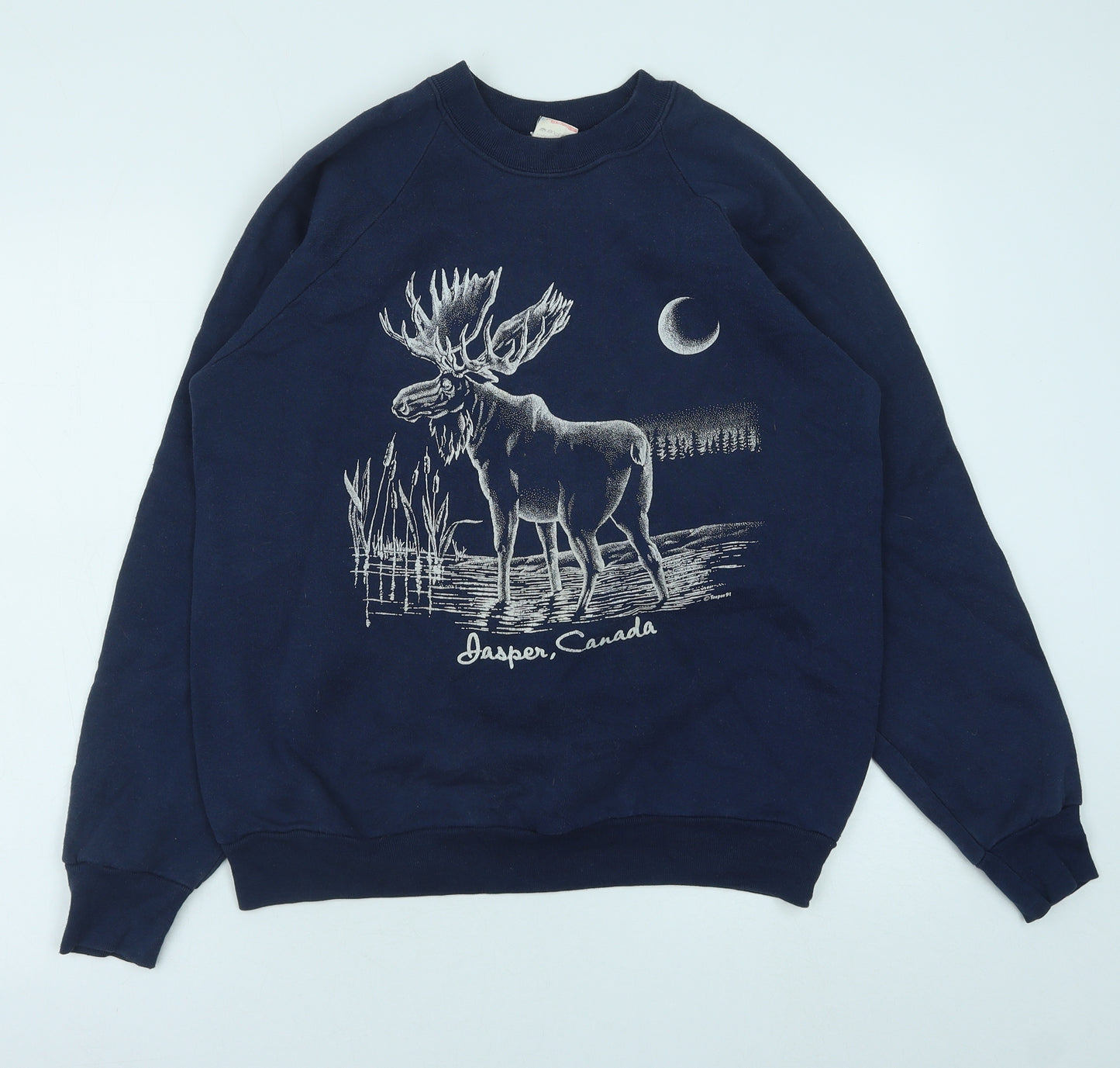 Fruit of the Loom Womens Blue Cotton Pullover Sweatshirt Size L Pullover - Jasper Canada