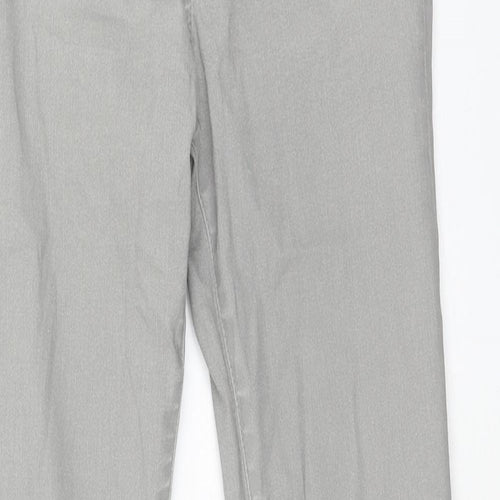 Zara Womens Grey Polyester Skinny Jeans Size 8 Regular Button