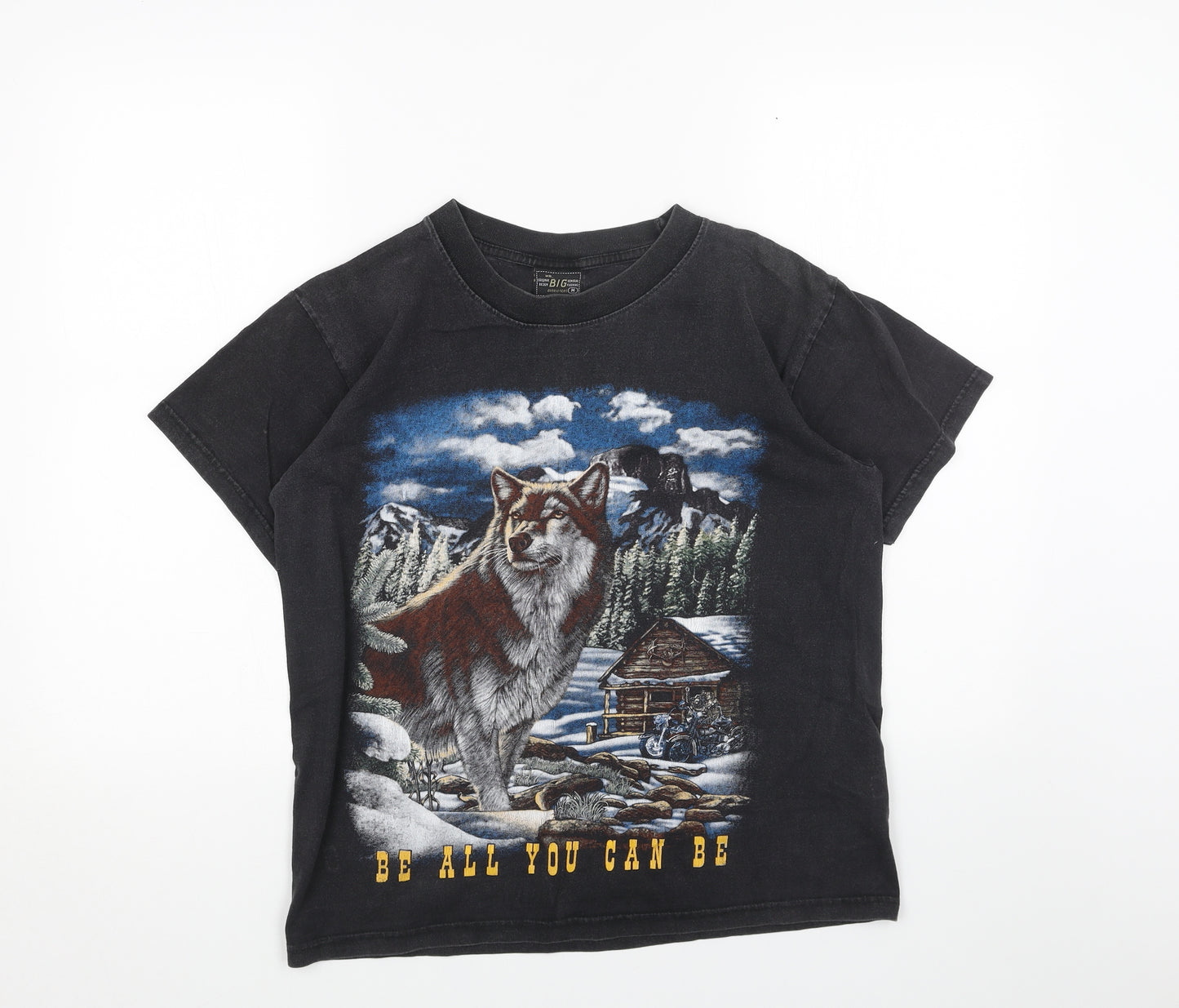 Mr big Mens Multicoloured Cotton T-Shirt Size M Round Neck