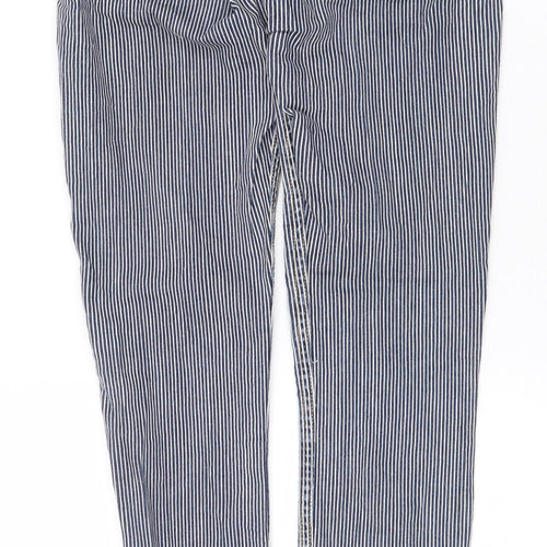 American Apparel Womens Blue Striped Cotton Straight Jeans Size 26 in Regular Zip