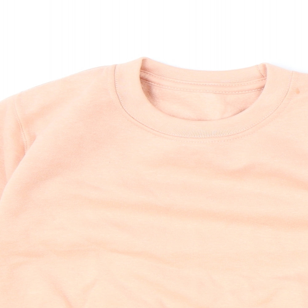 Preworn Girls Pink Cotton Pullover Sweatshirt Size 2-3 Years Pullover