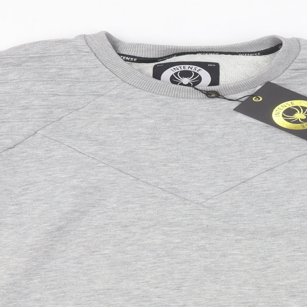 Intense Mens Grey Cotton Pullover Sweatshirt Size M