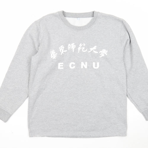 Preworn Womens Grey Cotton Pullover Sweatshirt Size L Pullover - ECNU