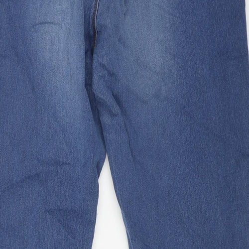 Preworn Womens Blue Cotton Skinny Jeans Size 2XL L31 in Regular Button