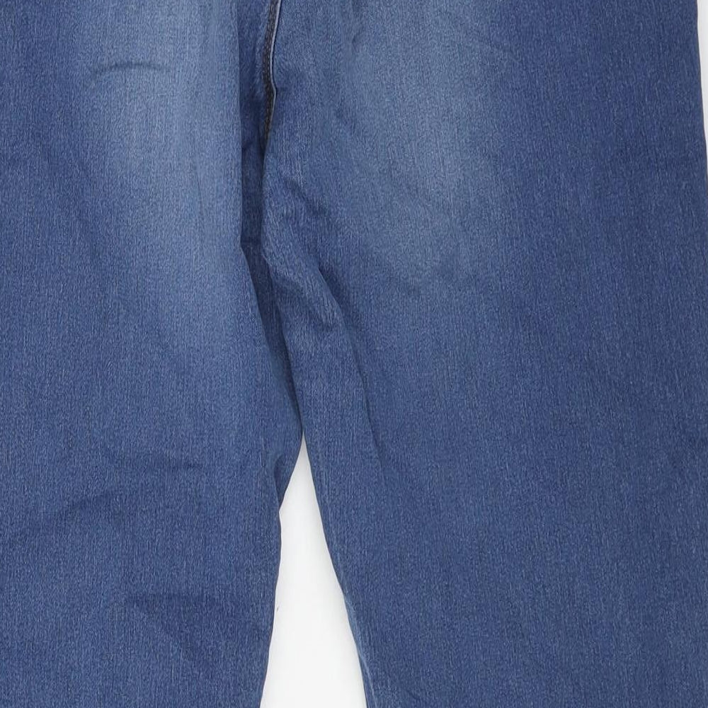 Preworn Womens Blue Cotton Skinny Jeans Size 2XL L31 in Regular Button