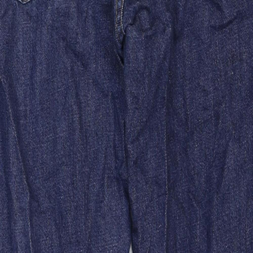 Gap Mens Blue Cotton Straight Jeans Size 26 in Regular Zip