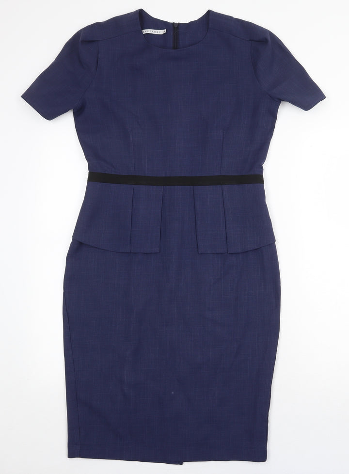 Florenceroby Womens Blue Polyester A-Line Size 10 Round Neck Zip