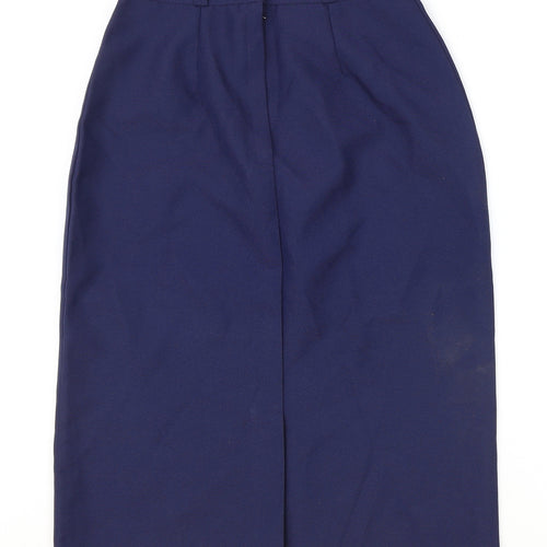 Preworn Womens Blue Polyester A-Line Skirt Size 12 Zip