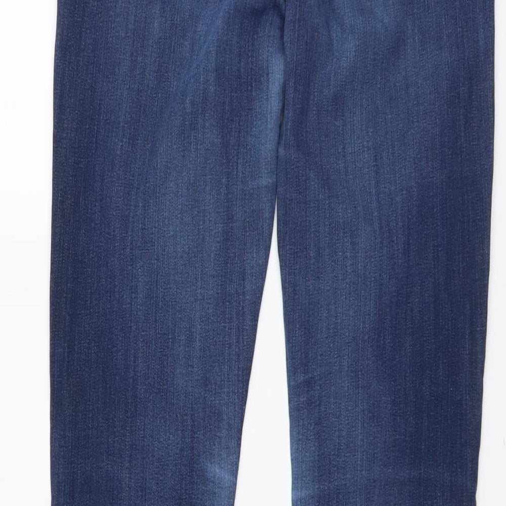 Gap Womens Blue Cotton Straight Jeans Size 28 in L31 in Regular Button