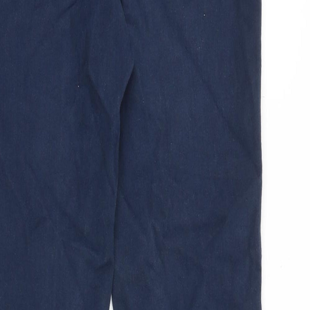 Zara Womens Blue Cotton Skinny Jeans Size 10 Slim Zip