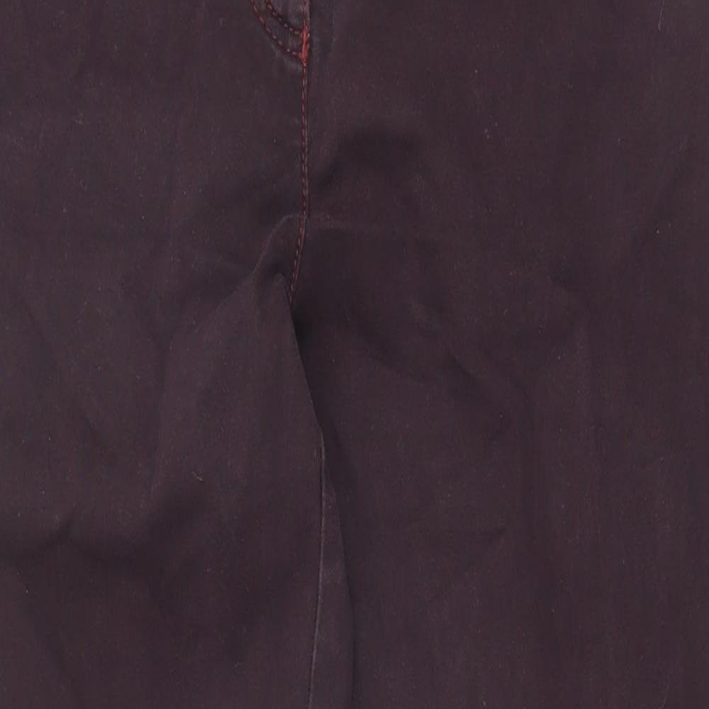 Michele Magic Womens Brown Cotton Straight Jeans Size 16 Regular Zip