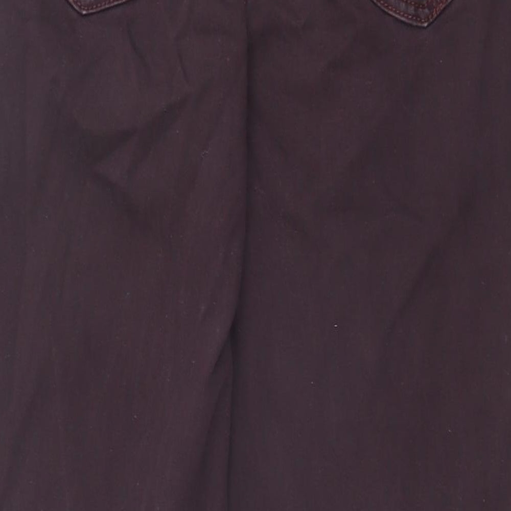 Michele Magic Womens Brown Cotton Straight Jeans Size 16 Regular Zip