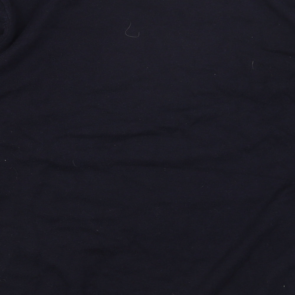 Pierre Cardin Mens Blue V-Neck Acrylic Pullover Jumper Size L Long Sleeve