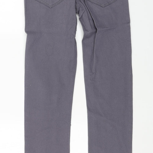 SD Jeans Mens Grey Cotton Skinny Jeans Size 30 in L32 in Regular Button