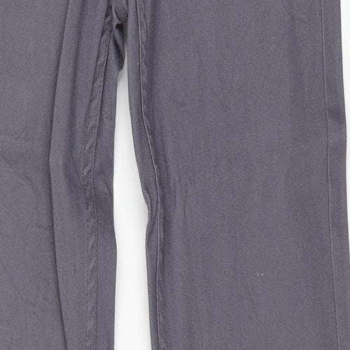 SD Jeans Mens Grey Cotton Skinny Jeans Size 30 in L32 in Regular Button