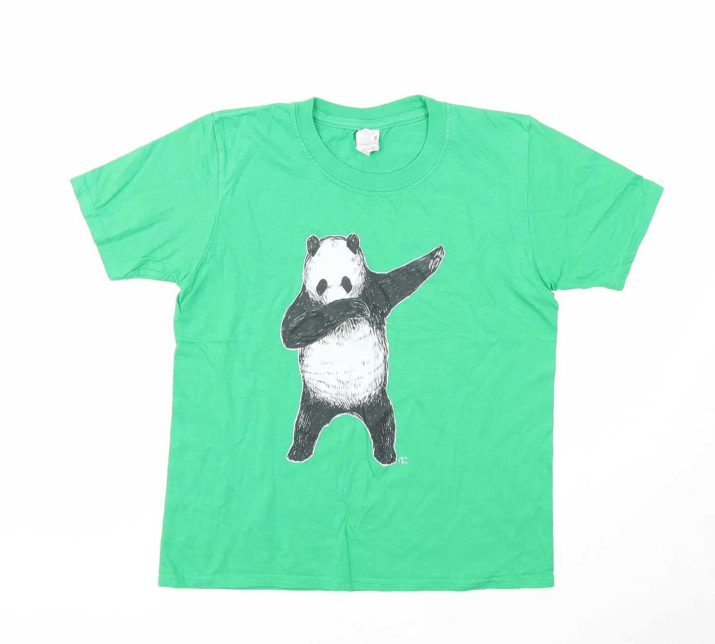 Gildan Boys Green Cotton Basic T-Shirt Size L Round Neck Pullover - Panda Dab