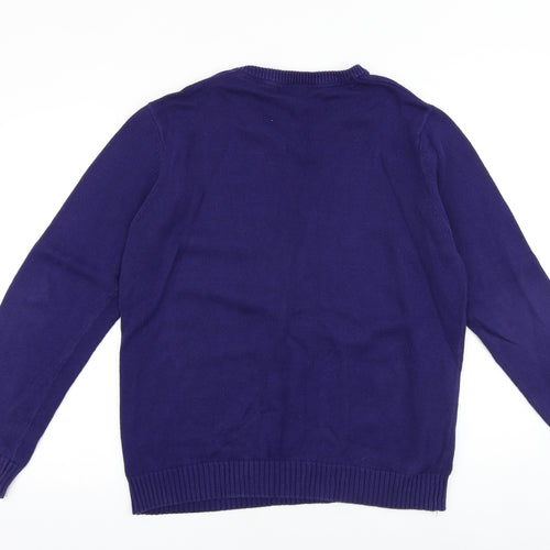 Easy Mens Purple V-Neck Cotton Pullover Jumper Size L Long Sleeve