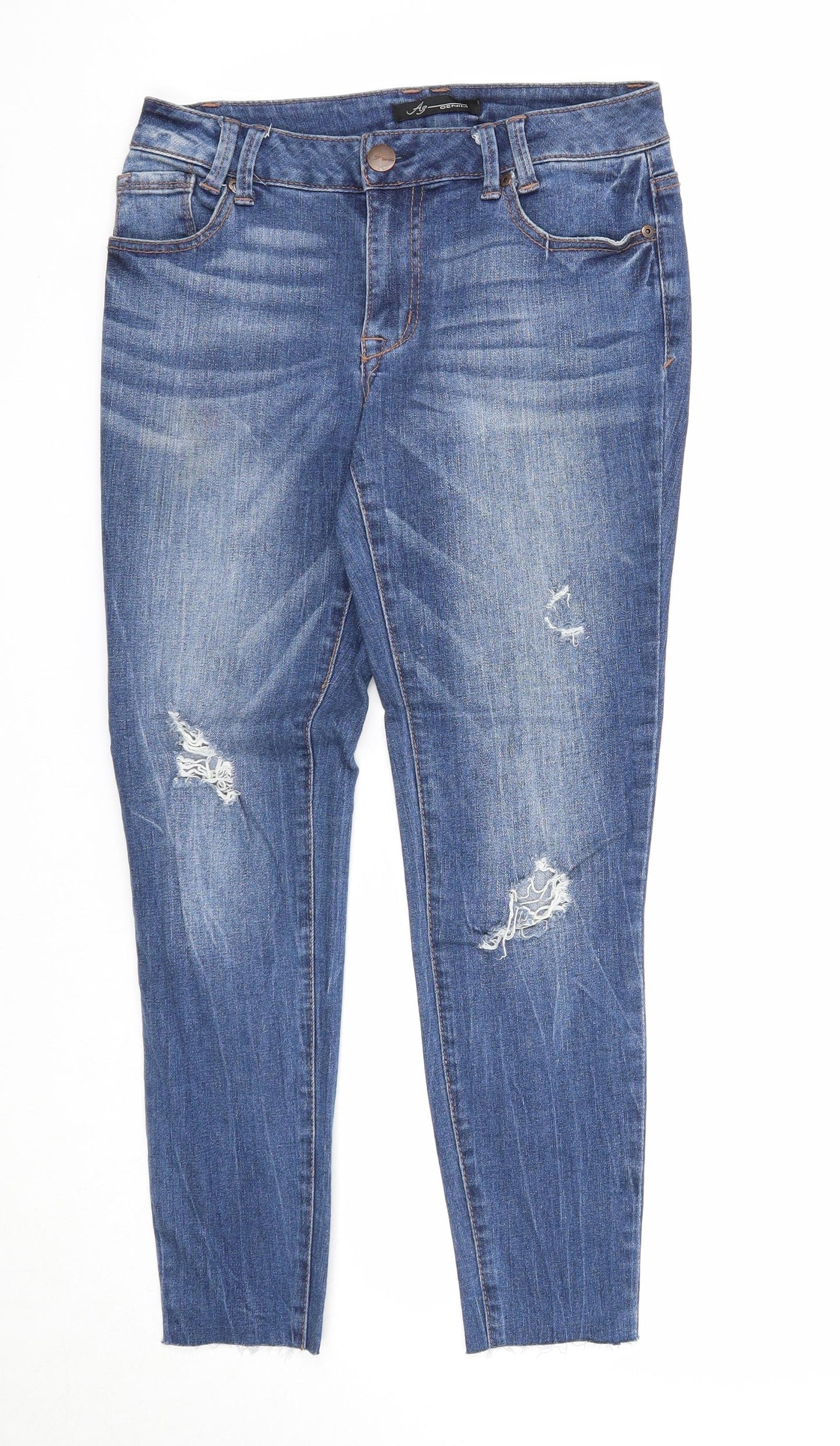 Preworn Womens Blue Cotton Skinny Jeans Size 6 Regular Zip