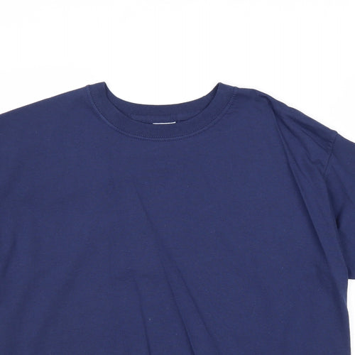 Preworn Mens Blue Cotton T-Shirt Size M Round Neck
