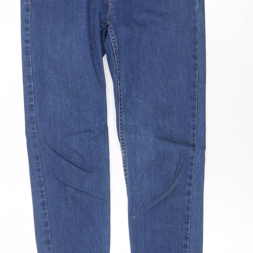 Preworn Womens Blue Cotton Skinny Jeans Size 28 in Regular Zip