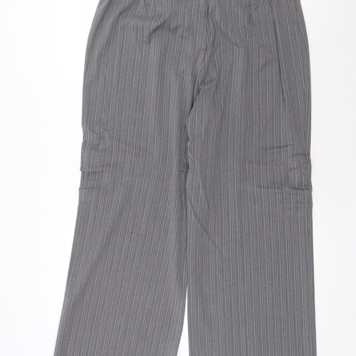 Agenda Womens Grey Striped Polyester Dress Pants Trousers Size 18 Regular Zip