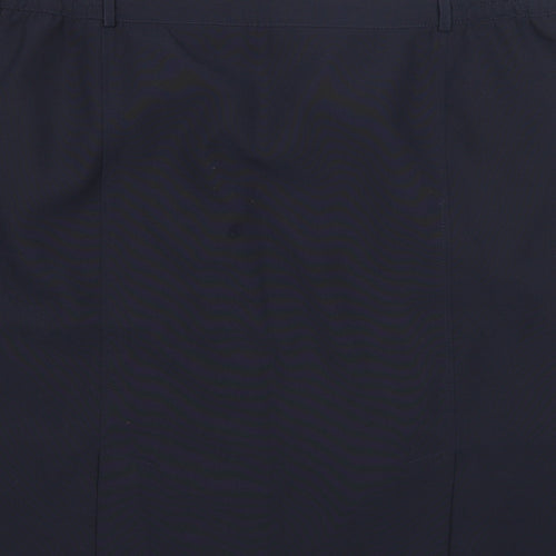 Agenda Womens Blue Polyester A-Line Skirt Size 26 Button