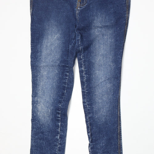 Jania Womens Blue Cotton Skinny Jeans Size 27 in Regular Zip