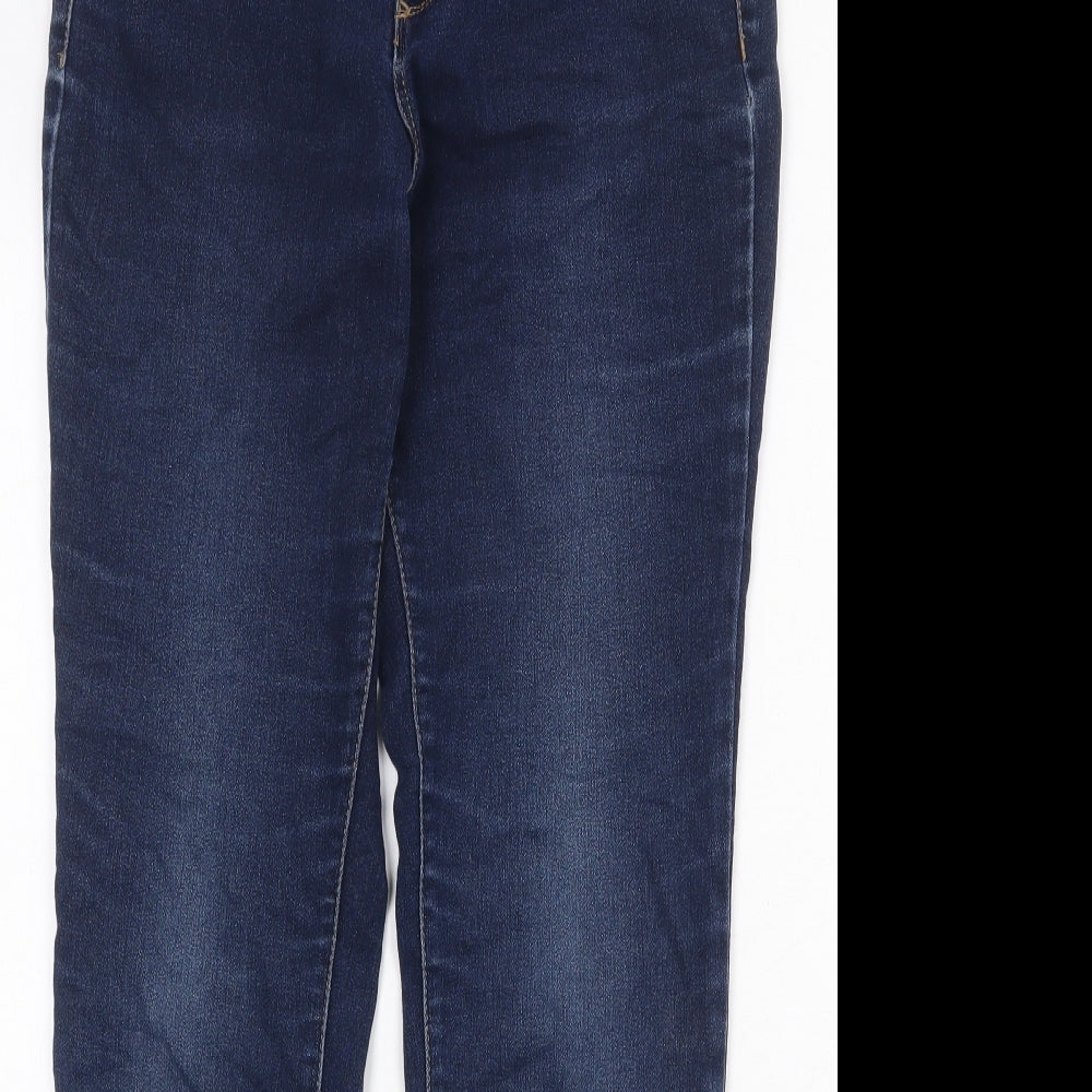 D. Jeans Womens Blue Cotton Straight Jeans Size 8 Regular Zip