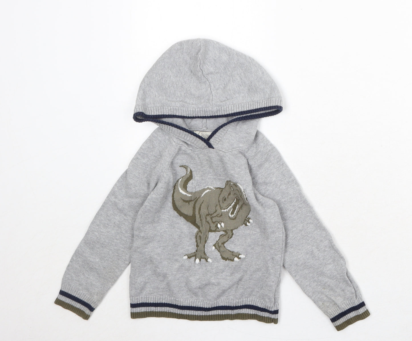 Rorie Whelan Boys Grey 100% Cotton Pullover Hoodie Size 3 Years Pullover - Dinosaur Print