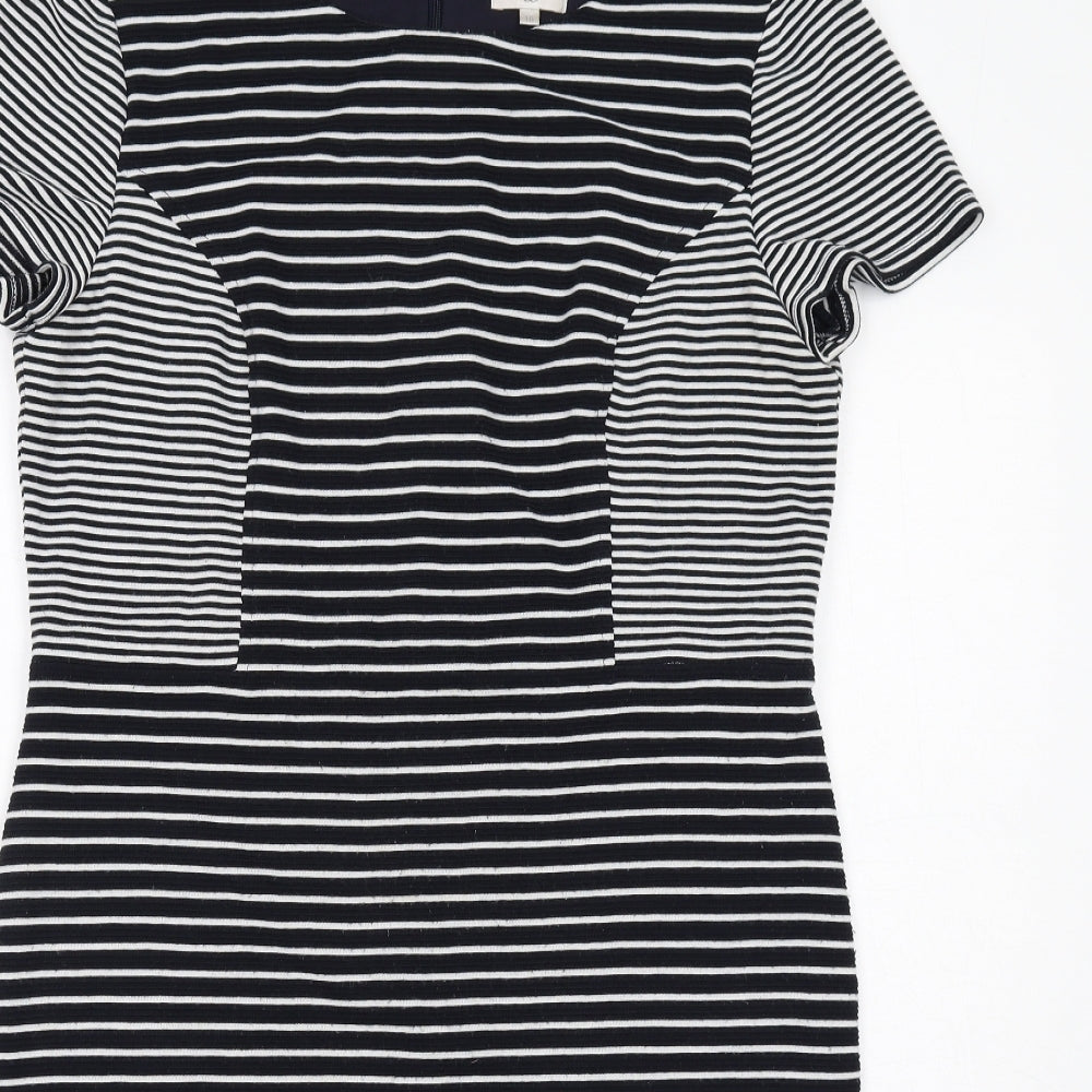 CC Womens Blue Striped Acrylic A-Line Size 16 Round Neck Zip